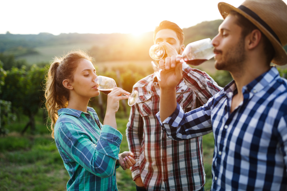 Wine,Growers,Tasting,Wine,In,Vineyard