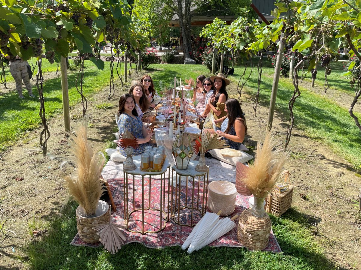 Luxury Picnics Souther Williams Vineyard