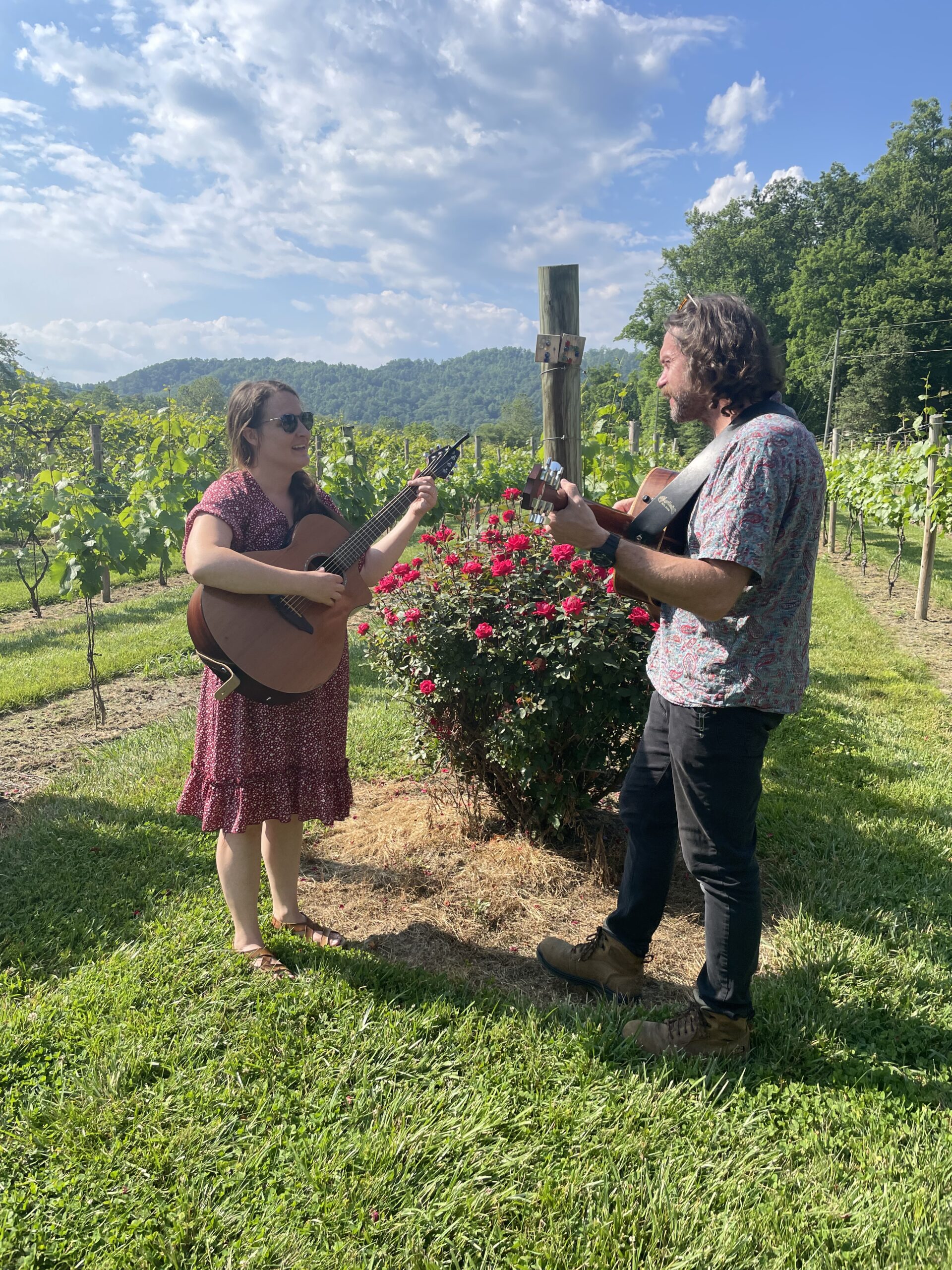 The Water Kickers at Souther Williams Vineyard