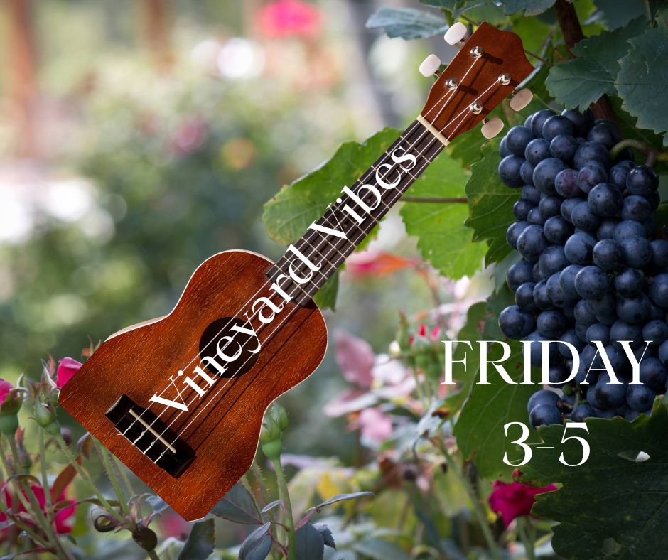 Local Musician, Souther Williams Vineyard, Music and Wine, Tasting Room, Fridays