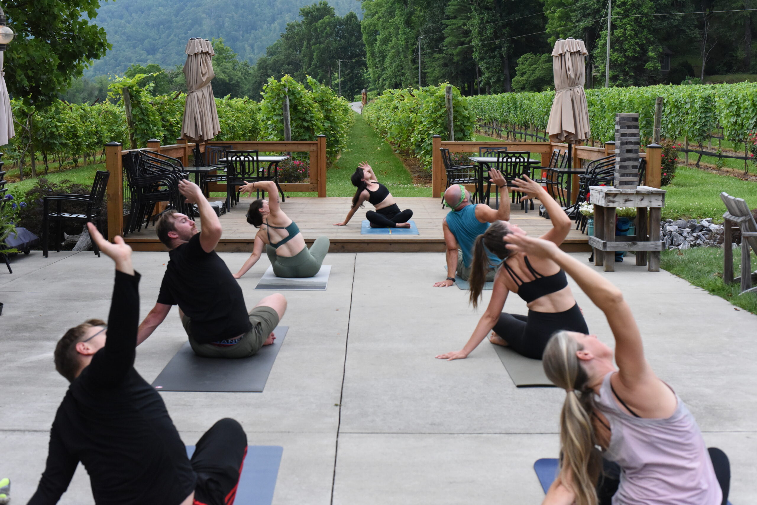 Yoga, Wine, Vineyard